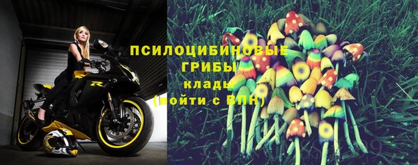 трава Беломорск