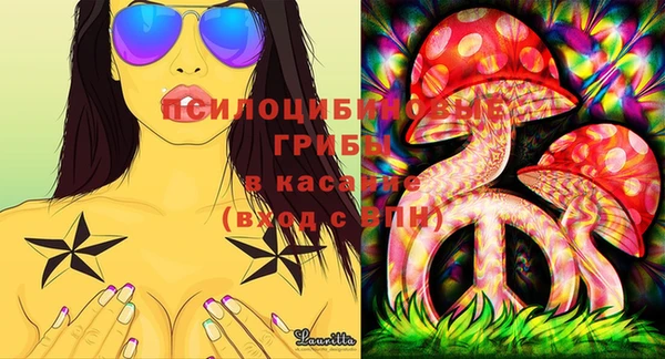 spice Белокуриха