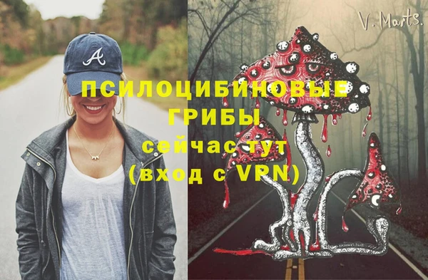 прущие крисы Белоозёрский