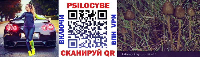 как найти закладки  Саяногорск  Галлюциногенные грибы Cubensis 