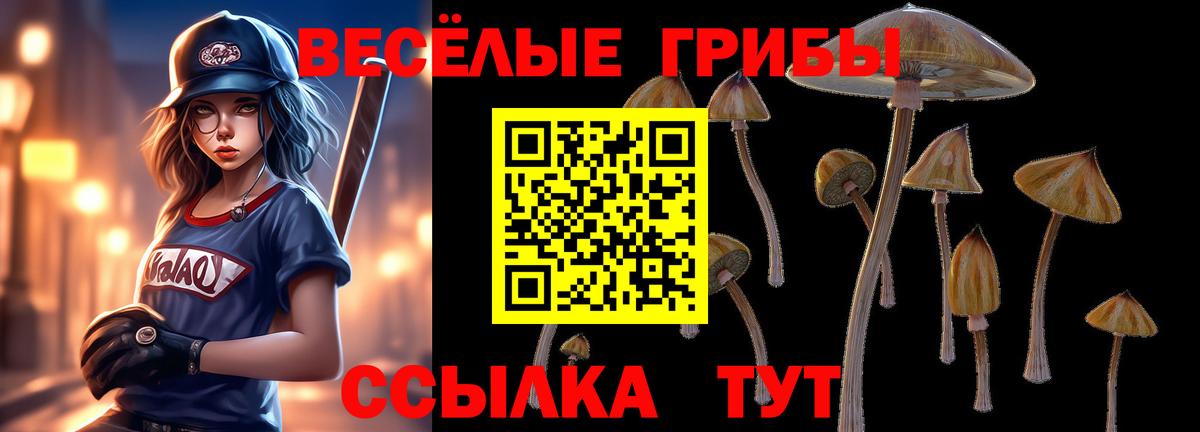 продажа наркотиков  Вход с VPN  Саяногорск  Псилоцибиновые грибы мицелий 